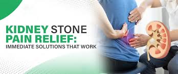 WAIST PAINcure helps the kidney eliminate toxins from the body and also purifies and cleans the kidney. WAIST PAINcure is also very effective in case of pain and kidney stone.