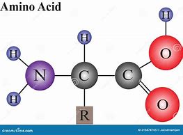 Amino Acid - Acide aminé Soutenir le fonctionnement du cerveau, améliorer la croissance musculaire, booster d'énergie, etc.