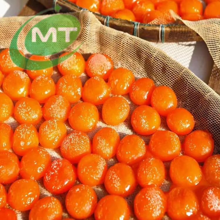Jaunes d'Œuf Artificiels "Synth'Egg"