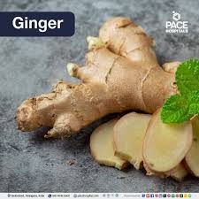 NO COUGH is the best natural medicine against respiratory tract infections such as cold or flu. It's also treats respiratory track infection like chronic bronchitis, asthma, pulmonary