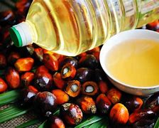 Huile de Palme Palm Oil  edible vegetable oil that comes from the fruit of oil palm trees marketed by Radem Sarl Cameroon