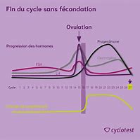 Progestérone contrôle la fertilité et les menstruations, traite les symptômes de la ménopause. Faciliter la fertilité chez la femme, Aider à maintenir la grossesse
