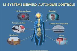 Naoxinshu Koufuye contre les nerfs et le système nerveux central, improves brain function, helps against nerf and enzymes